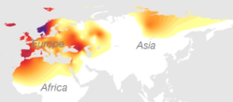 maternal ancestry