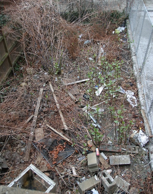 Messy townhouse garden with construction debris