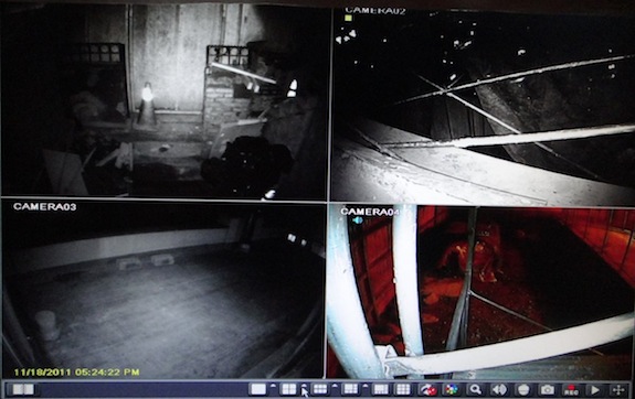 security camera monitor